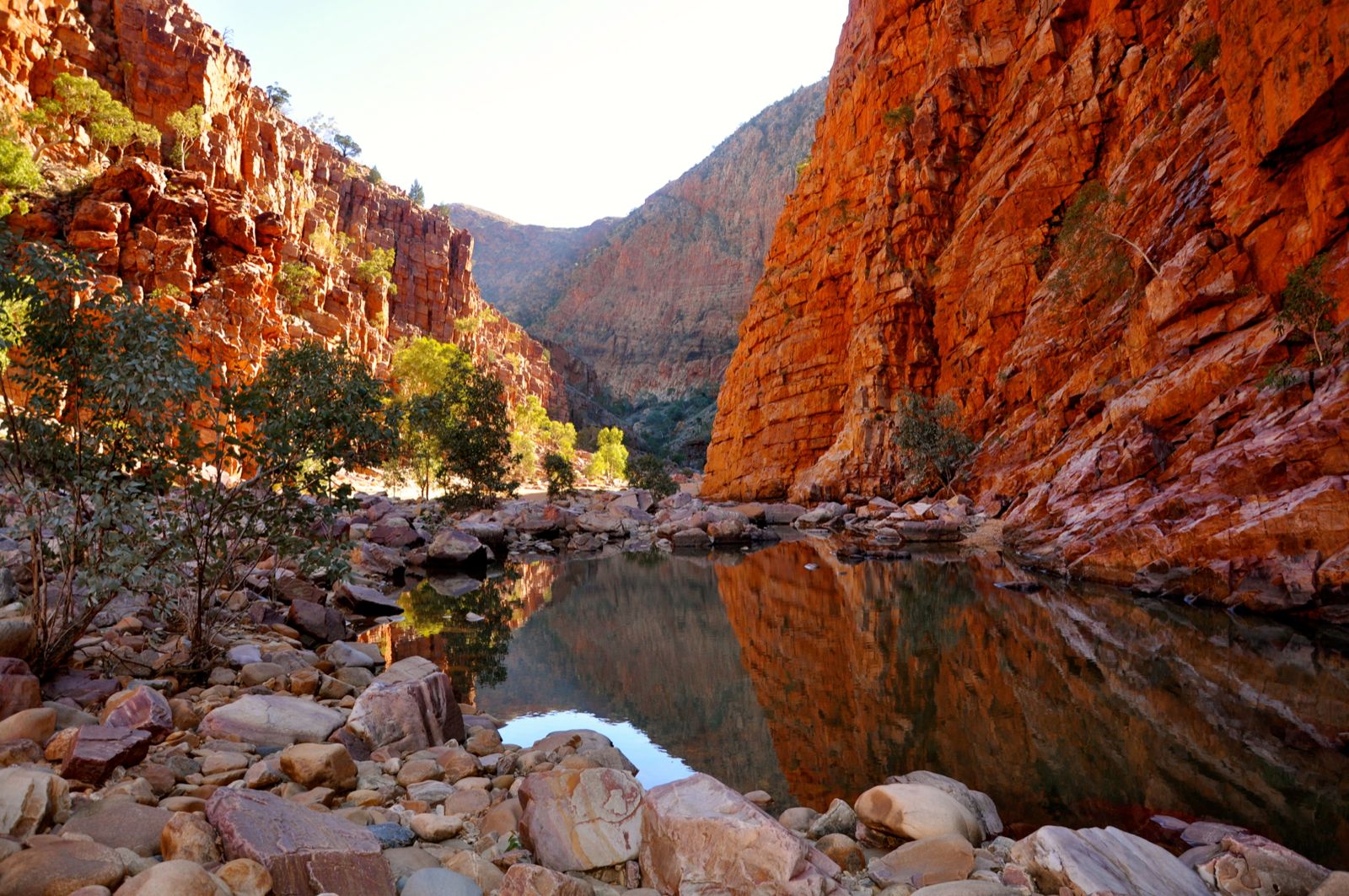 Best Things To See In Alice Springs
