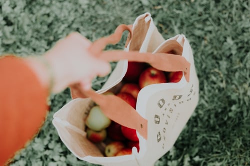 A reusable bag full of fruit