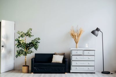 an indoor plant, a couch, a cabinet and a lamp lined up in a living room